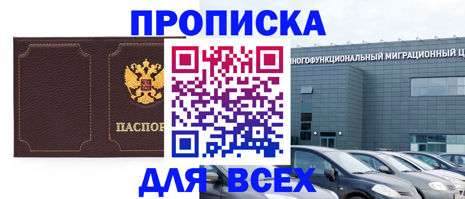 прописка 2025 в Купино